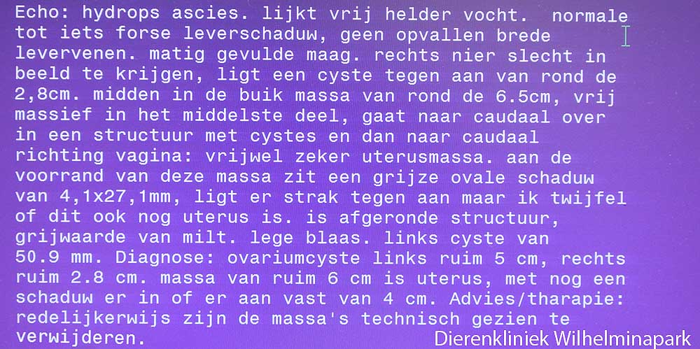 Op de echo is de baarmoeder tumor te zien en in dit geval links en rechts een cysteuze ovarium.